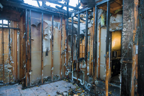 Professional Odor Removal technician working in Salt Creek Commons, IN